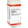 Collinsonia Canadensis D 2 Tabletten (80 stk) – PZN 2628843