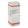 Carduus Marianus D 1 Dilution (50 ml) – PZN 2610004