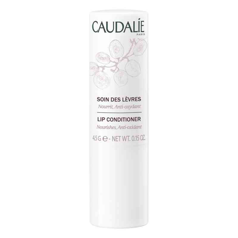 Caudalie Soin des levres (4 g) – PZN 650034