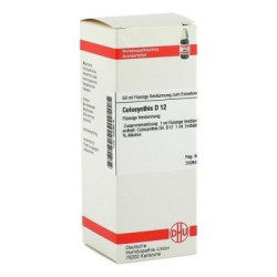 Colocynthis D 12 Dilution (50 ml) – PZN 2809616