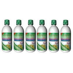 Aloe Vera Saft mit Noni Saft, 6X1 L – PZN 8446037