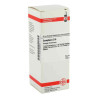 Camphora D 6 Dilution (50 ml) – PZN 2895550