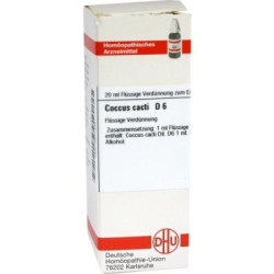 Coccus Casti D 6 Dilution (20 ml) – PZN 2611452