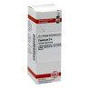 Capsicum D 4 Dilution (20 ml) – PZN 2111821