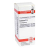 Conium C 6 Globuli (10 g) – PZN 4213690