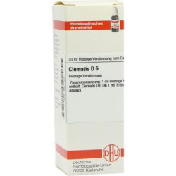 Clematis D 6 Dilution (20 ml) – PZN 2611297