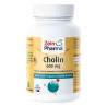 Cholin 600 mg rein aus Bitartrat veg.Kapseln (60 stk) – PZN 13475897