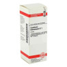 Causticum Hahnemanni Urt. = D 1 (20 ml) – PZN 2610211