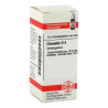 Clematis D 4 Globuli (10 g) – PZN 1766477