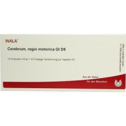 Cerebrum Regio Motor Gl D 5 Ampullen (10X1 ml) – PZN 3359836
