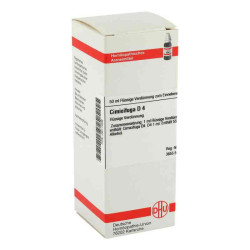Cimicifuga D 4 Dilution (50 ml) – PZN 2611009