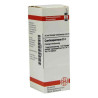 Cardiospermum D 4 Dilution (20 ml) – PZN 2111933
