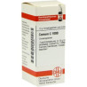 Conium C 1000 Globuli (10 g) – PZN 7165595