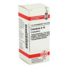 Cinnabaris D 10 Globuli (10 g) – PZN 2813061