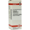 Collinsonia Canadensis D 4 Dilution (20 ml) – PZN 2611707