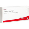 Cantharis Blasen Inject, 10X1 ML – PZN 81116