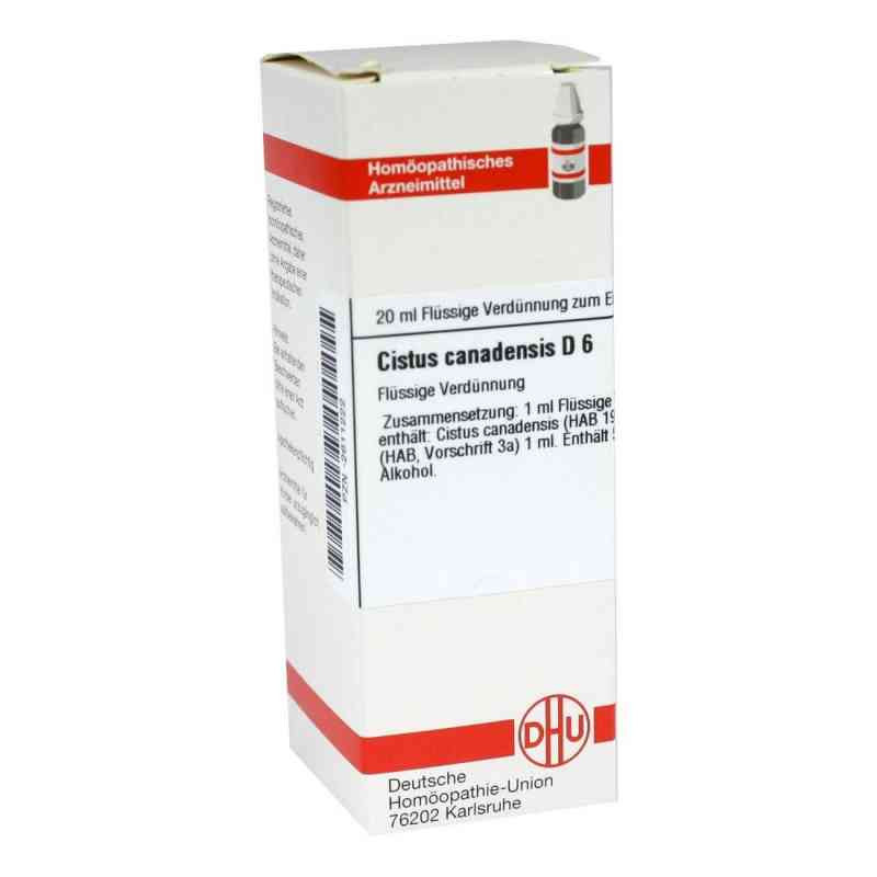 Cistus Canadensis D 6 Dilution (20 ml) – PZN 2611222