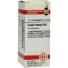 Cicuta Virosa D 30 Globuli (10 g) – PZN 4212532