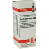 Cardiospermum D 200 Globuli (10 g) – PZN 7595019