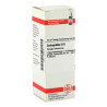 Colocynthis D 6 Dilution (20 ml) – PZN 1767318