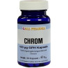 Chrom 100ug GPH Kapseln, 30 ST – PZN 4527721