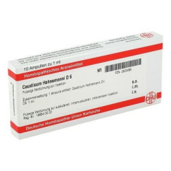 Causticum Hahnemanni D 6 Ampullen (10X1 ml) – PZN 2823496
