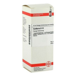 Cantharis D 12 Dilution (50 ml) – PZN 2809160