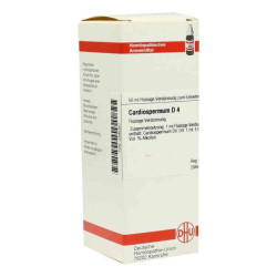 Cardiospermum D 4 Dilution (50 ml) – PZN 2895857