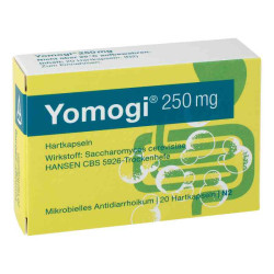Yomogi 250mg 5 Billionen Zellen (20 stk) – PZN 11885929