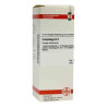 Cimicifuga D 3 Dilution (50 ml) – PZN 2610990