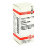 Calcium Fluoratum D 200 Globuli (10 g) – PZN 4209116