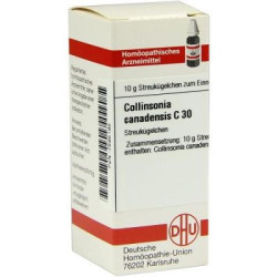 Collinsonia Canadensis C 30 Globuli (10 g) – PZN 7595195