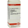 Collinsonia Canadensis D 6 Tabletten (80 stk) – PZN 7165313