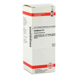 Cantharis D 4 Dilution (50 ml) – PZN 1763421