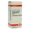 Calcium Carbonicum D 10 Tabletten Hahnemanni (80 stk) – PZN 2125668