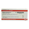 Causticum Hahnemanni D 4 Ampullen (10X1 ml) – PZN 4211142