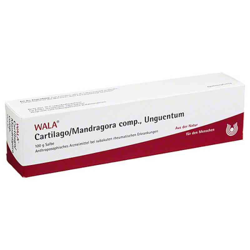 Cartilago/mandragora compositus Salbe (100 g) – PZN 2198236