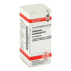 Collinsonia Canadensis D 6 Globuli (10 g) – PZN 4213589