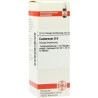 Castoreum D 6 Dilution (20 ml) – PZN 7163739