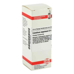 Caladium Seguinum D 4 Dilution (20 ml) – PZN 2609136