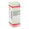 Carduus Marianus D 12 Dilution (20 ml) – PZN 2610062