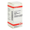 Capsella Bursa Past. D 6 Tabletten (80 stk) – PZN 7163248