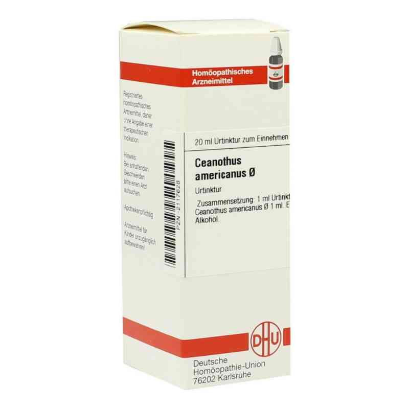 Ceanothus Americanus Urtinktur (20 ml) – PZN 2117628