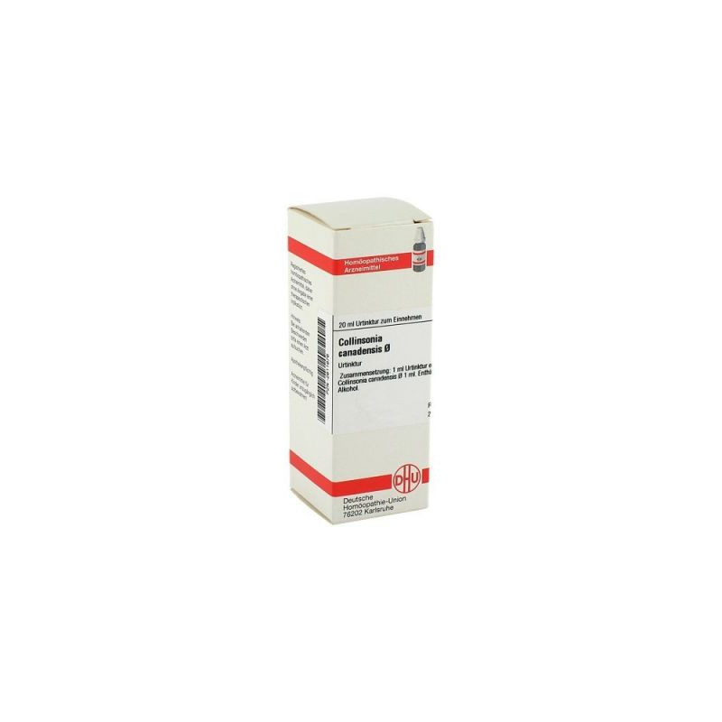 Collinsonia Canadensis Urtinktur (20 ml) – PZN 2611676
