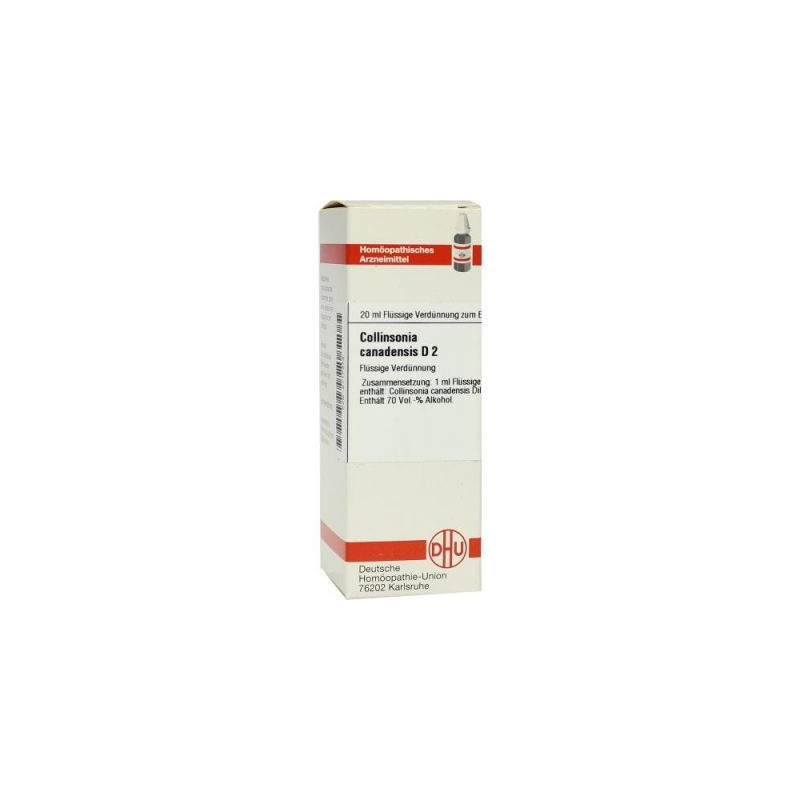 Collinsonia Canadensis D 2 Dilution (20 ml) – PZN 2117373