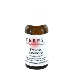 Ceres Fraxinus excelsior Urtinktur (20 ml) – PZN 178927
