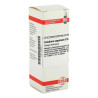Caladium Seguinum D 6 Dilution (20 ml) – PZN 2894912