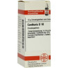 Cantharis D 10 Globuli (10 g) – PZN 7246678