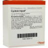 CYSTEIN INJ, 10 ST – PZN 1806113