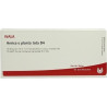 ARNICA E PLANTA TOTA D 4, 10X1 ML – PZN 3358021